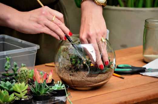 Comment choisir les plantes et les décorations pour un aquarium?