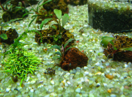 Les Équipements essentiels pour un aquarium : le guide 🐠
