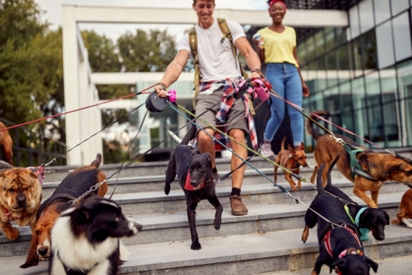 Pet-Sitting pour Vos Vacances : Guide Complet ☀️
